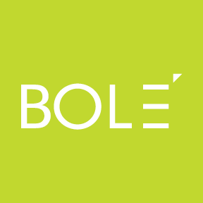 Bole International Architectural Brochure Design Logo