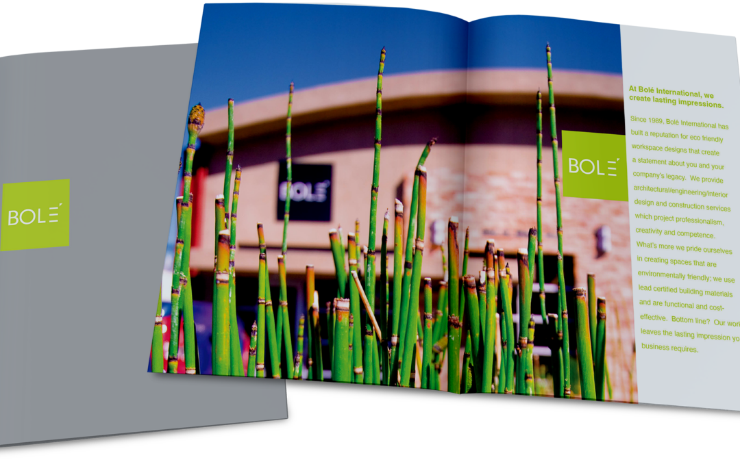 Bolé International Architectural Brochure Design